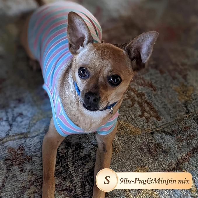 KYEESE 2Pack Dog Shirts Striped T Shirt Soft Tee for Small Dogs Cotton Tank Top Lightweight Sleeveless Vest Dog Clothes, Small,Green+Striped