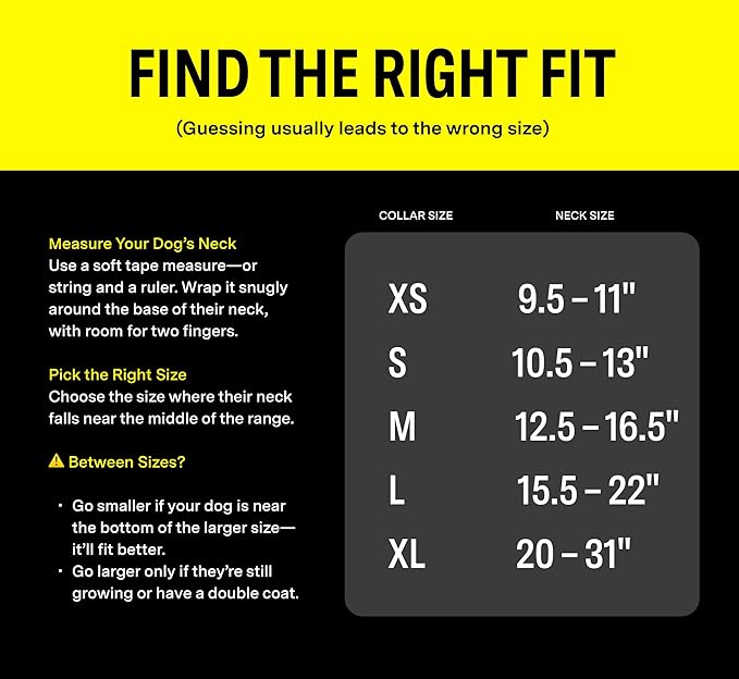 Fi Series 3 Smart Dog Collar - GPS Dog Tracker and Activity & Fitness Monitor, Waterproof, LED Light, Escape Alerts, Nationwide Coverage [Free 1 Year Membership] (Gray, Medium)