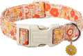 DOGWONG Fall Flower Dog Collar- Cute Flower Dog Collars Adjustable Floral Dog Collar for Girl Female Small Medium Large Dogs XS