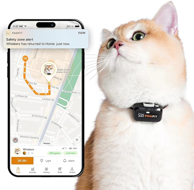 Pawfit Lite for Cats 4g GPS Tracker | Ultra-Small (<18g) Design | Real-Time Tracking | Activity Monitoring | Location History | Unlimited Range | Safety Collar Included | Onyx Black