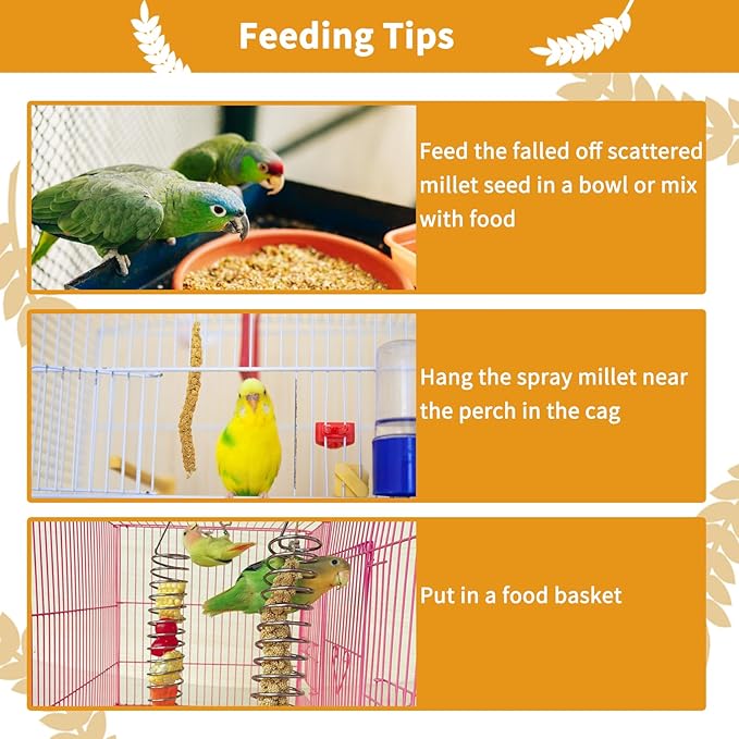 kathson Natural Sun-Dried Birds Millet Spray Millet Treat Bird Snacks for Parrots Cockatiels Lovebirds Painted Buntings and Finches Parakeets 4.4 LB