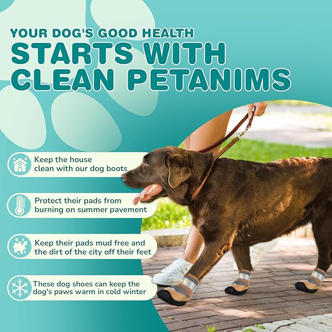 Dog Shoes for Small Dogs, Medium Dog Boots & Paw Protectors for Winter Snow, Breathable Dog Booties for Hot Pavement, Hardwood Floors Gray Size 2