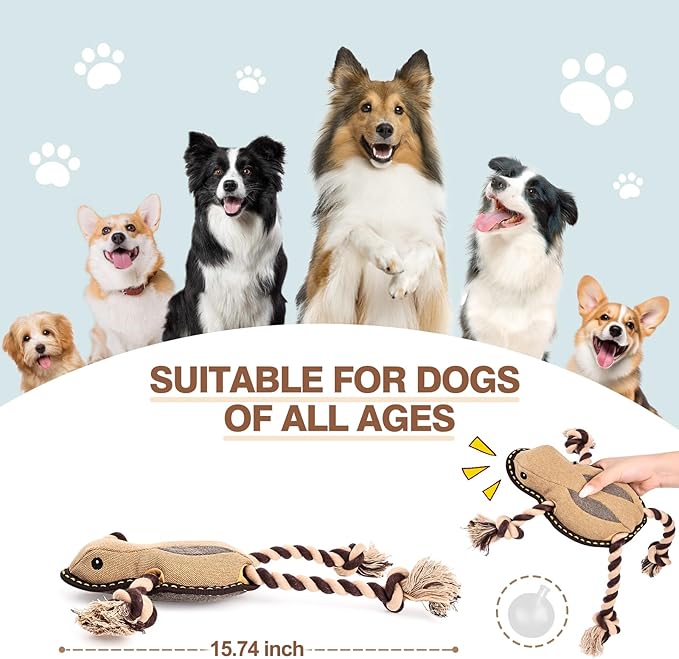 Tough Durable Squeaky Dog Toys for chewers Interactive to Keep Them Busy, Funny Tug of War Dogs Toy for Small Medium Large Cute Birthday Gift (New Frog)