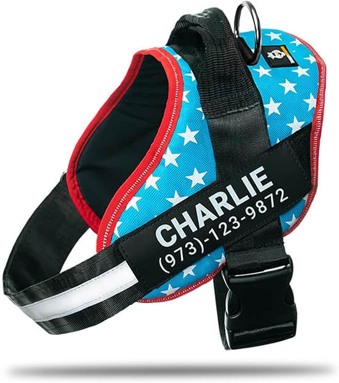 Personalized No-Pull Dog Harness with Name Patch, Adjustable, Reflective, Padded, Heavy Duty Pet Vest to Prevent Tugging, Pulling, or Choking, Training and Walking, Light Blue, 2XL