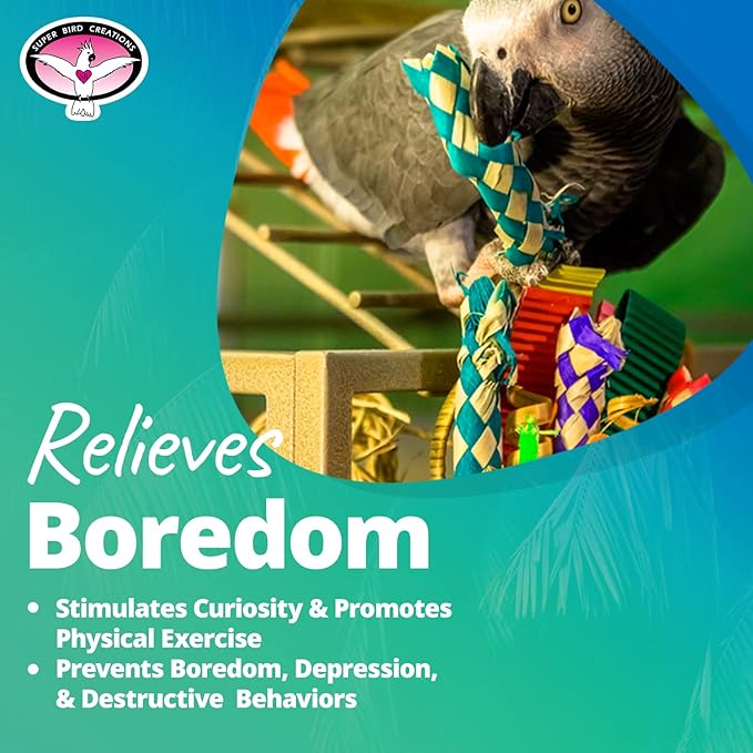 Super Bird Creations SB669 Wicker Foraging Basket Bird Toy for Parrots Cockatiels Ringnecks Medium Conures Quakers,Caiques Pionus - Crunchy Multi-Colored Textures - Medium Bird Size, 10” x 4” x 5”