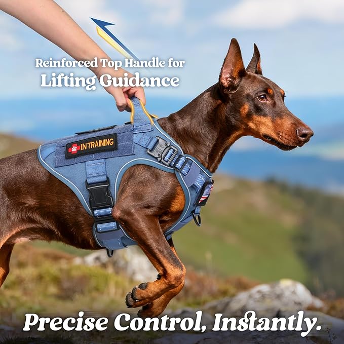 rabbitgoo Tactical Dog Harness Small Sized, No Pull Upgraded Reflective Heavy Duty Molle Vest with Handle, Adjustable Military Service Dog Vest for Walking Hiking Training, Blue, S