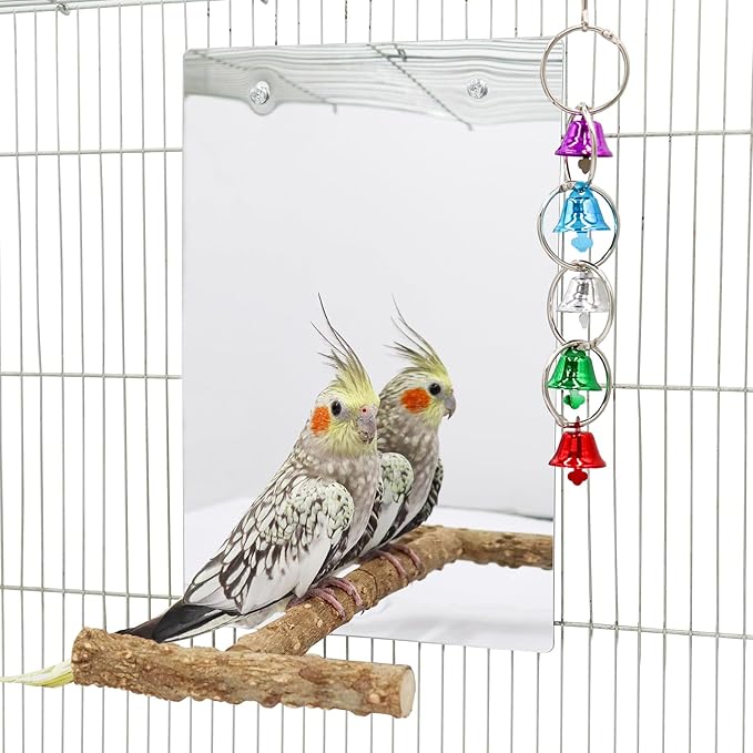 Oooct Large Bird Mirror Toy with Perch Stand, Parrot Parakeet Mirror with Bird Swing Bell Toys, Bird Cage Accessories, Suitable for Parakeet Cockatiel Conure Lovebirds - 11.8 × 7.9 Inch