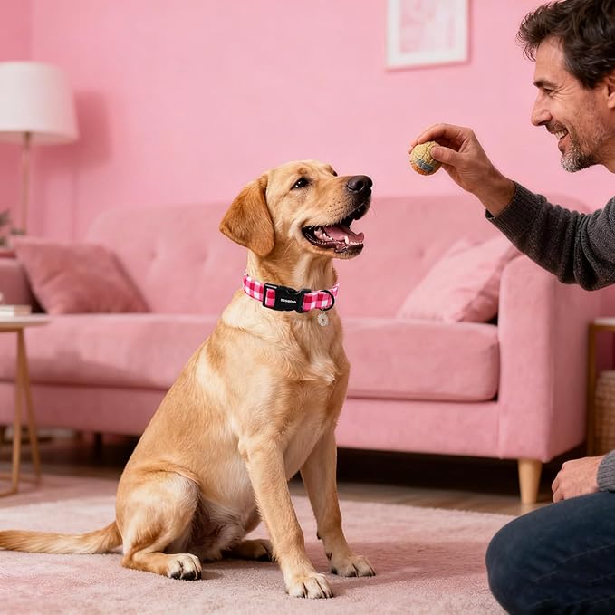 DOGWONG Pink Plaid Dog Collar- Cute Pink Checkered Dog Collar Girl Feamle Dogs Collars for Small Medium Large Dogs S