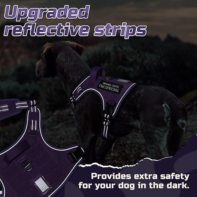 rabbitgoo Tactical Dog Harness for Large Dogs, No Pull Military Service Vest with Handle & Molle, Easy Control for Training Walking, Adjustable Reflective Straps, Purple, XL