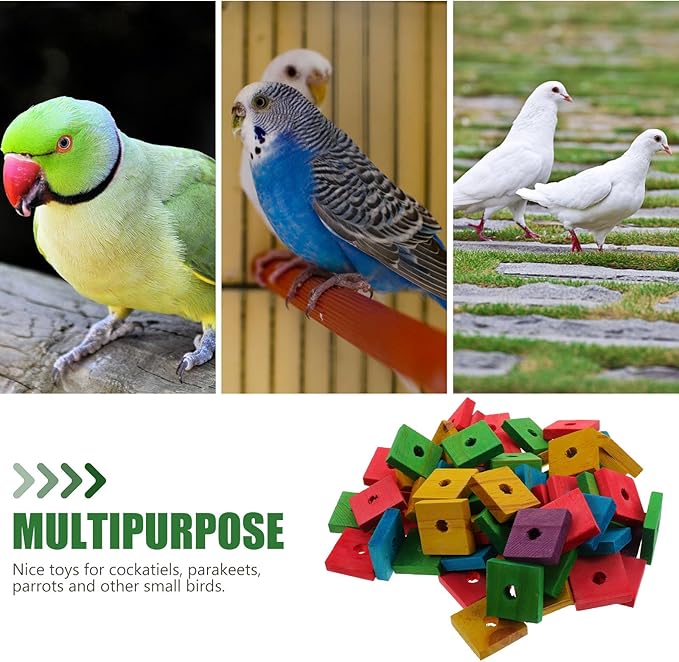 Parrot Toys 100 Pcs Wooden Blocks Bird Chewing Trim Beak Foot Craft Cage Part Mini Wood Chip Charms DIY Playing Chewing Shredding Mixed Large Bird Toys (Pack of 2)