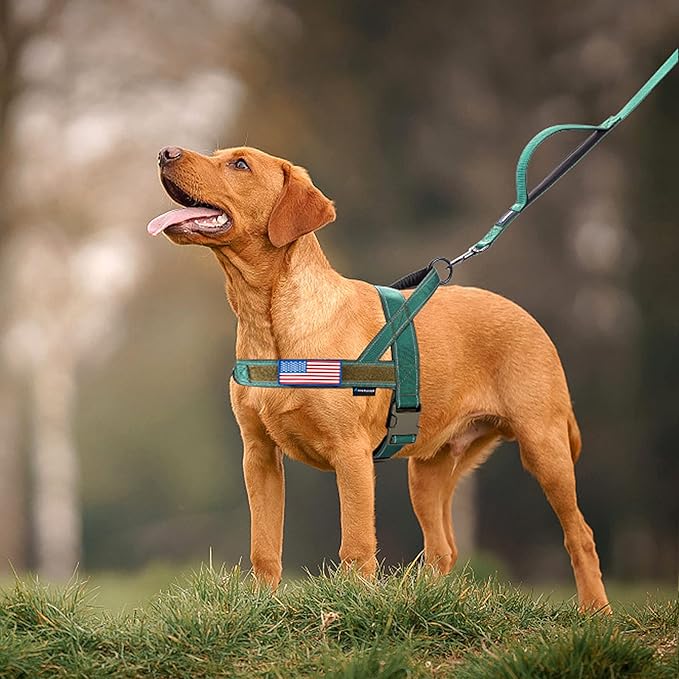 Annchwool No Pull Dog Harness with Soft Padded Handle,Reflective Strip Escape Proof and Quick Fit to Adjust Dog Harness,Easy for Training Walking for Small & Medium and Large Dogs(Green,M)