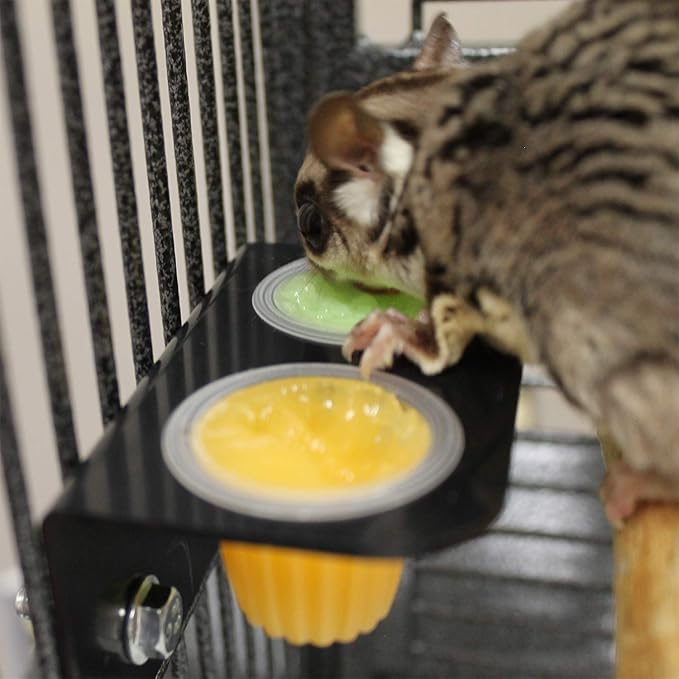 Nectar Pods (Variety 4 Pack) - Calcium-Fortified Jelly Fruit Treat - Sugar Gliders, Marmosets, Squirrels, Parrots, Cockatiels, Parakeets, Birds, Hamsters, Day Geckos, Kinkajous & Other Small Pets