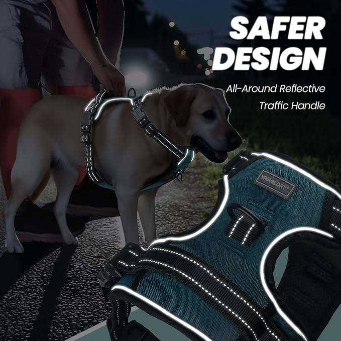 VIVAGLORY Dog Harness Easefit No Pull Dog Harness with Front Clip & Handle for Lifting Training, Adjustable Padded No-Pull Anti Pull Easy On for Puppy & Pet, L, Peacock Green