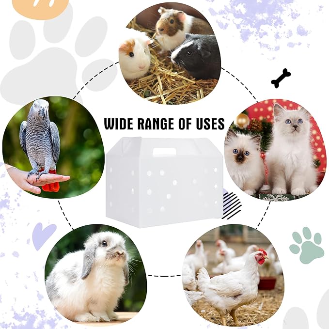 10 Pcs Plastic Pet Carriers 15.7 x 10.2 x 9.8 Inch for Small Animals Cat Hamster Guinea Pig Rabbit Bird Travel Box