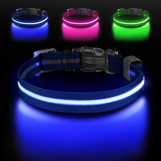 Light Up Dog Collar, Adjustable USB Rechargeable Glow in Dark Dog Collar ，Waterproof Dog Collars for Large Dogs (Blue, Large)