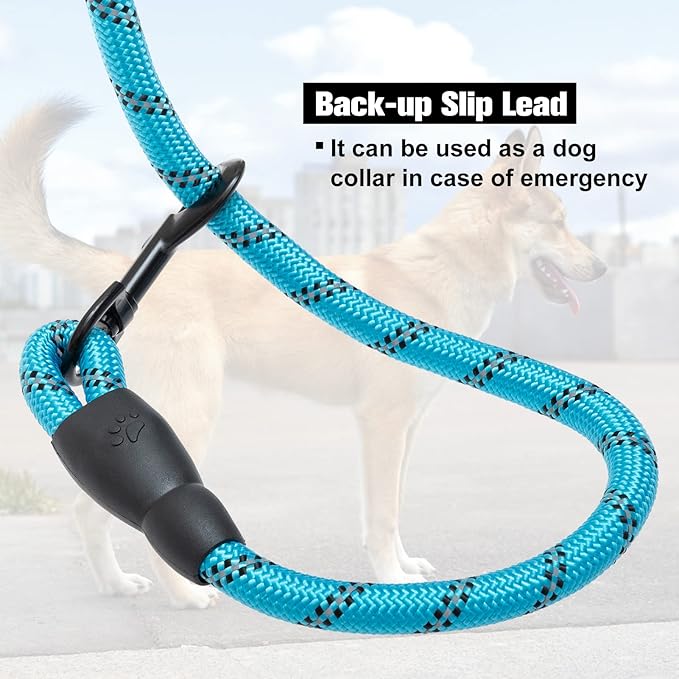 BEAUTYZOO Heavy Duty Rope Dog Leash 6 Pack, 6FT Nylon Pet Leash with Reflective Thread, Soft Padded Handle Thick Lead Leash for Large Medium Dogs Small Puppy,3/8inch X 5 FT (18~120 lbs)