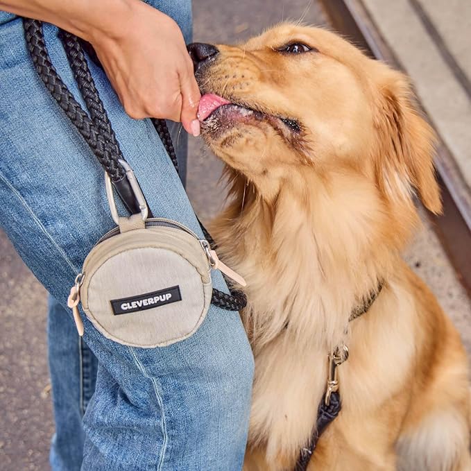 Snackpack Double Insulated Dog Treat Pouch - Holds 1.5 Cups - Dog Training and Walks Snack Bag, Two Pockets for Dry or Wet Treats, Attaches to Leash, Belt, or Bag - Sand