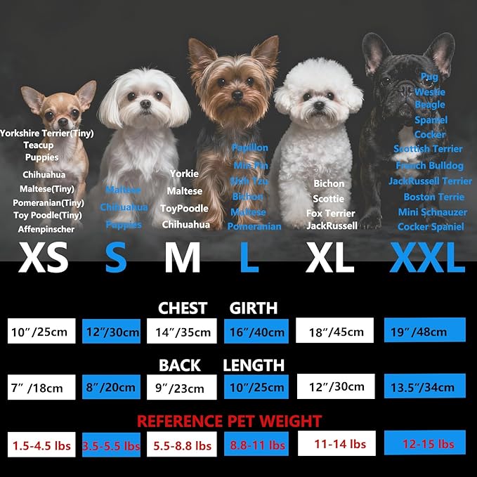 Puppy Clothes for Small Dogs Boy,Classic Western Denim Dog Coat,Dog Jeans Jacket with Leash D-Ring,Pet Cat Costumes,Cooling Harness Vest for Walking (Blue, Large)