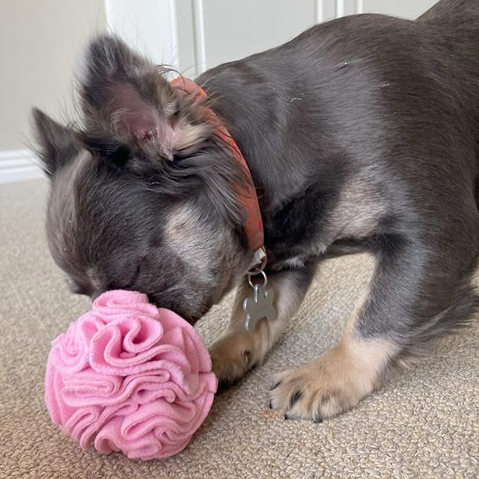 Puppy and Small Breed Snuffle Interactive Foraging Dog Puzzle Ball Toy Pink