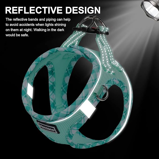 Mercano Soft Mesh Dog Harness and Leash Set, No-Chock Step-in Reflective Breathable Lightweight Easy Walk Vest Harnesses with Safety Buckle for Small Dogs, Cats (Light Green, S)