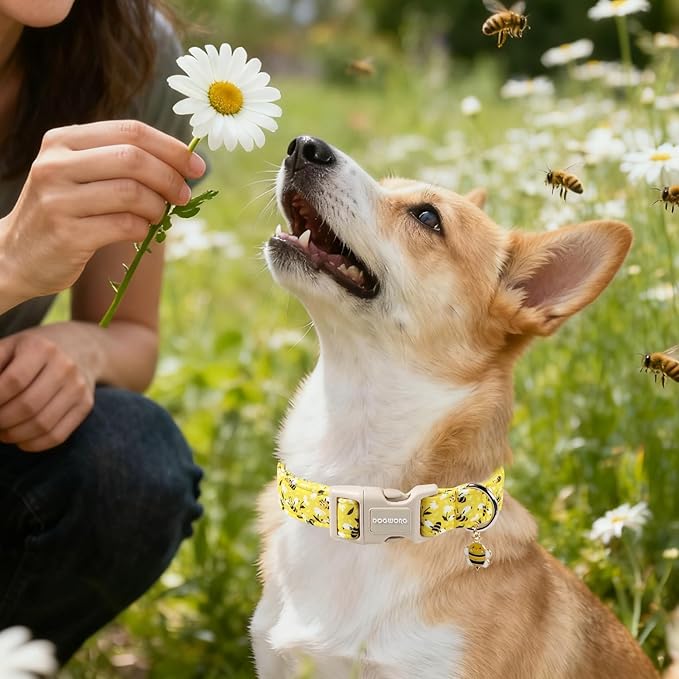 DOGWONG Cute Cotton Dog Collar for Small Medium Large Dogs Cute Yellow Bee Dog Collar for Boy Girl Dogs,M