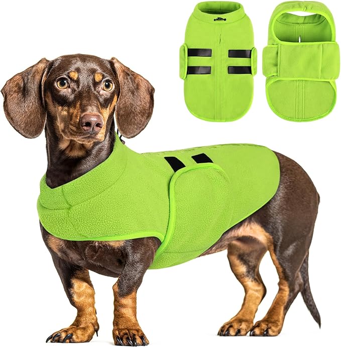 Queenmore Small Dog Sweaters, Soft Fleece Vest Pullover Pet Jacket with Leash Hole, Warm Winter Dog Clothes Cold Weather Doggy Dachshund Sweater for Small Dogs Cats Boy or Girl (Green, XS)