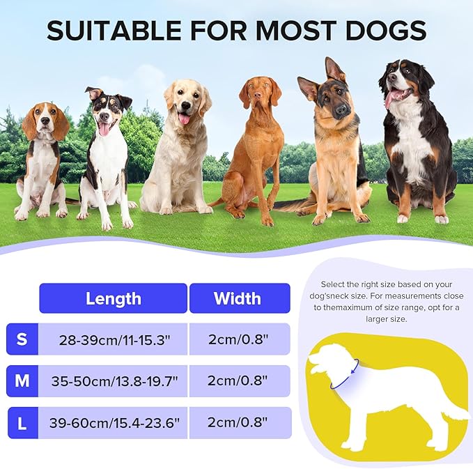 Light Up Dog Collar, Adjustable USB Rechargeable Glow in Dark Dog Collar ，Waterproof Dog Collars for Small Dogs (Blue, Small)