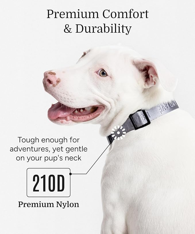 2025 New Edition, Fei & Eve MagEase Dog Collar - Patented Magnetic Buckles | Fur-Safe | Premium 210D Nylon | 450LB Escape-Proof | Adjustable Fit | Medium (Twilight Gray)