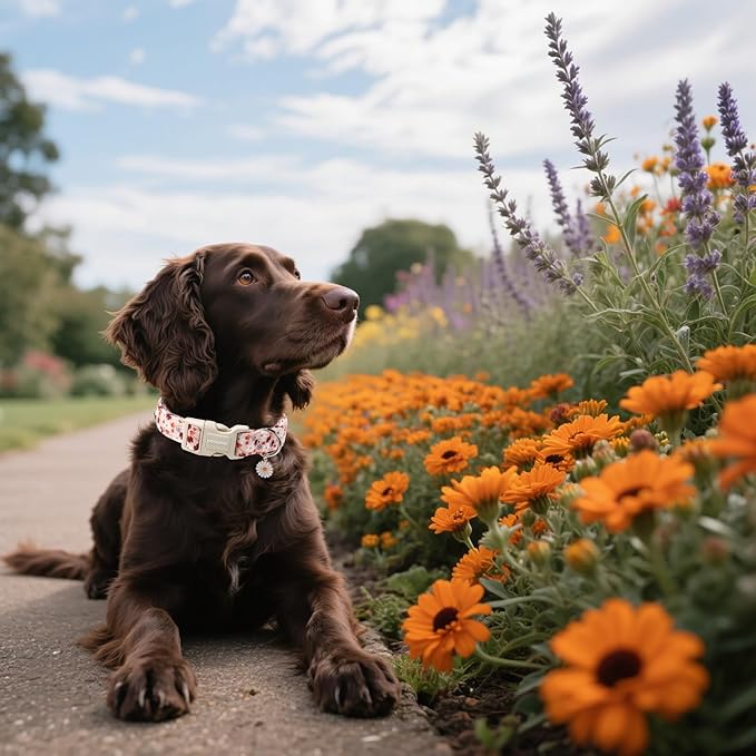 DOGWONG Fall Flower Dog Collar, Orange Flower Dog Collar Adjustable Soft Natural Fabric Girl Pet Dog Collars Cute Puppy Necklace for Small Medium Large Dogs