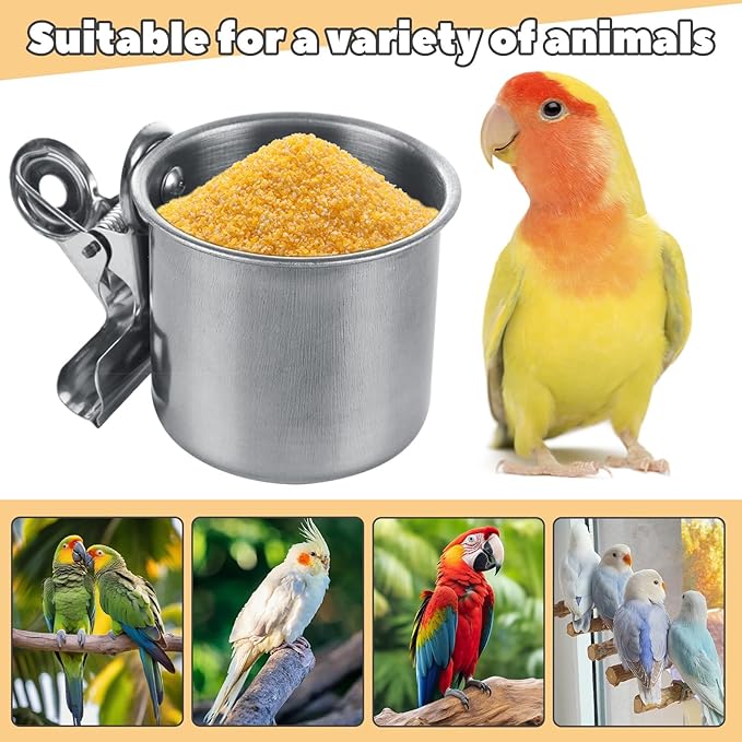 4 Pack Bird Feeding Dish Cups Stainless Steel Parrot Bird Feeder for Cage Parrot Feeders Water Cage Bowls with Clamp Holder for Cockatiel Parakeet Macaw Finches Small Animal
