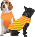 IECOii 2 Pack Dog T-Shirts for Small Medium Dogs,Lightweight & Comfortable – Easy to Wear,Machine Washable & Non - Fading – Perfect for Summer Indoor and Outdoor Use,Orange+Stripes,Large