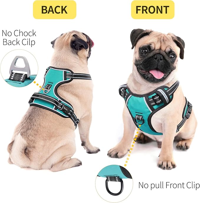 HEELE Dog Harness Dog Harness Small Dog No Pull Harness wiht Soft Handle Reflective Harness Adjustable, Turquoise, S