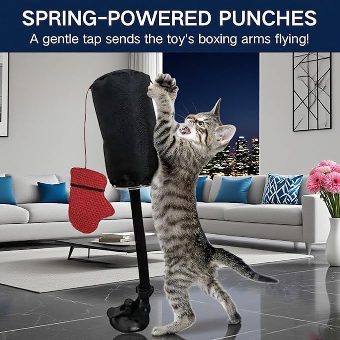 cat Boxing Gloves Toy, Boxing cat Toys, Interactive Kitten Toys Punching Bags, Punching Bag Games Gym (2 Pieces)