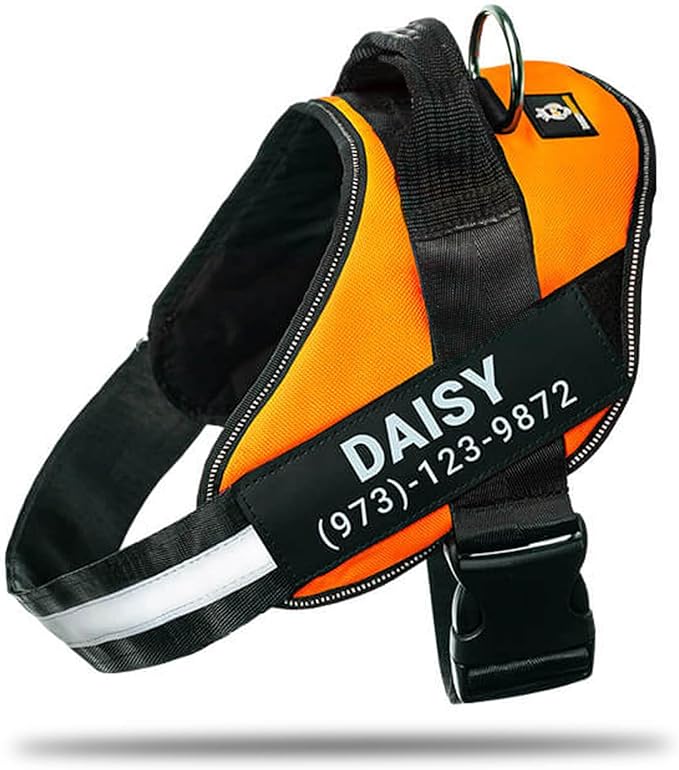 Personalized No-Pull Dog Harness with Name Patch, Adjustable, Reflective, Padded, Heavy Duty Pet Vest to Prevent Tugging, Pulling, or Choking, Training and Walking, Orange, 2XL