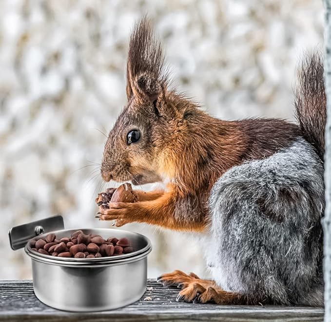 MotBach 3 Pack Bird Feeding Bowls Cups Parrot Food Water Dishes, Stainless Steel Bird Bowl Cup Dish with Clamp, Birdcage Feeder Pet Cage Bowls for Cockatiel Budgie Conure Macaw Parakeet Small Animal