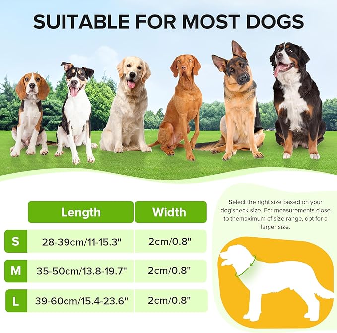 JewyowLight Up Dog Collar, Adjustable USB Rechargeable Glow in Dark Dog Collar ，Waterproof Dog Collars for Large Dogs (Green, Large)