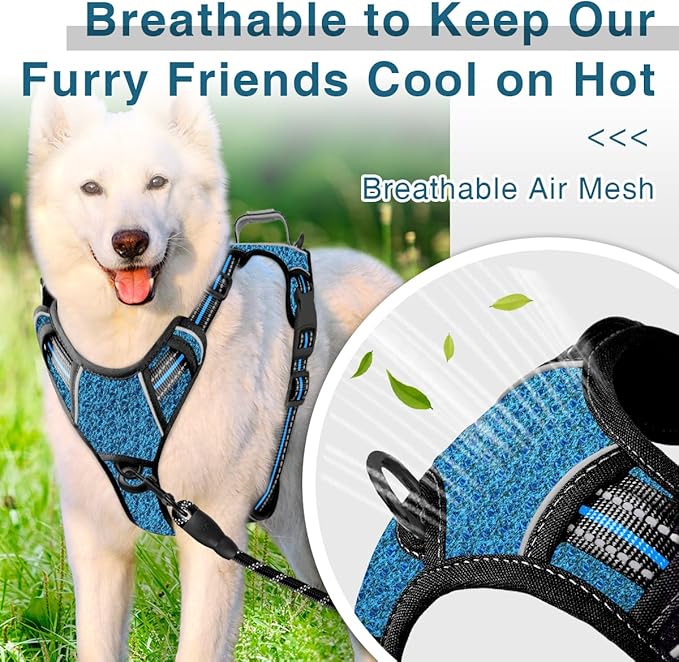 BARKBAY Dog Harness No Pull with ID Tag Pocket - Heavy Duty, Reflective, Easy Control for Small Dogs(Blue/Black,S)