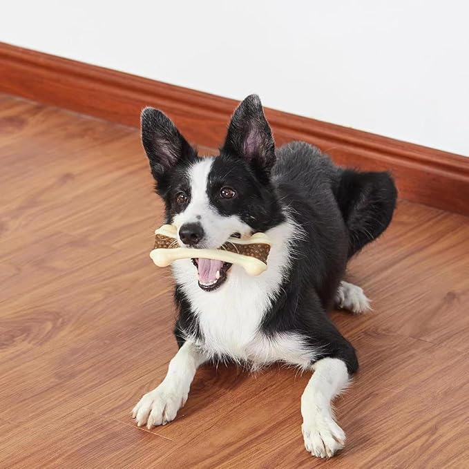 Dog Chew Toys for Aggressive Chewers, 6 Pack L Real Beef Flavor Bones,Indestructible Dog Toys for Large/Medium Breed,Pet NylonToys