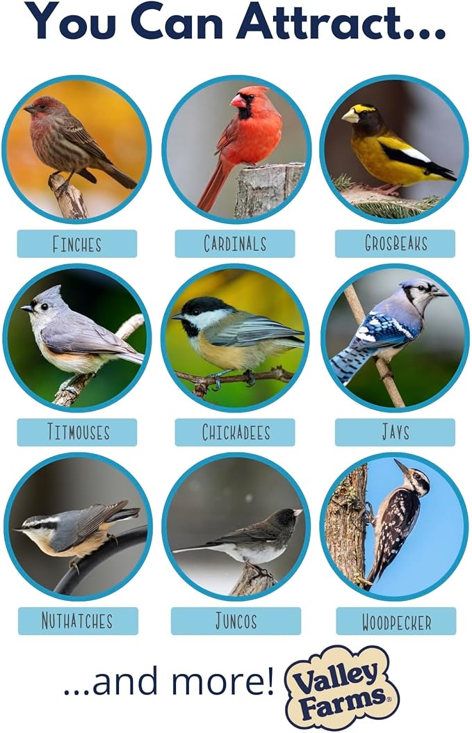 Valley Hearty Delight Wild Bird Food for Outside Feeders, No-Mess Wild Bird Seed with Sunflower Hearts & Peanut Kernels, Filler Free Bird Seed Perfect for Outdoor Patios, (4 LBS)