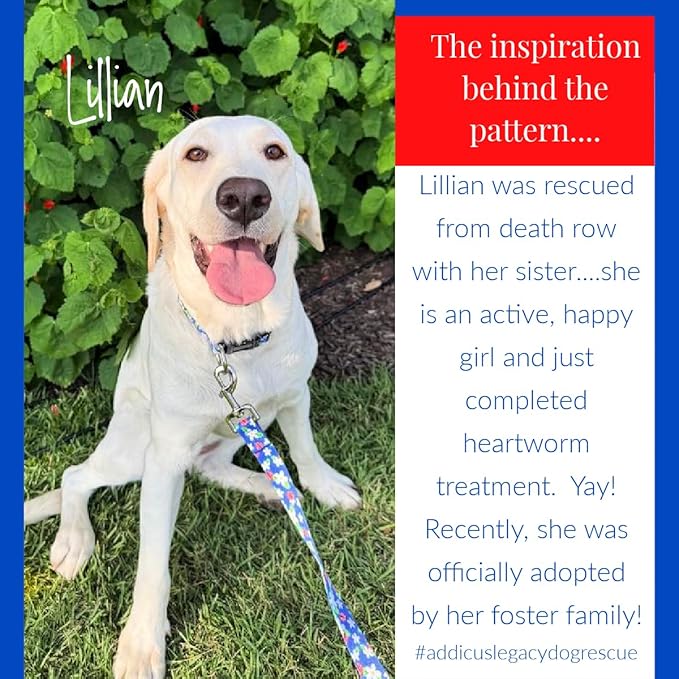 Lucky Love Dog - Adjustable Dog Collar with Easy Click Buckle for Small to Large Ones, Durable, & Comfortable for Male & Female Dogs, Pet Collar for Puppies & Adult Dogs - Lilian, Small