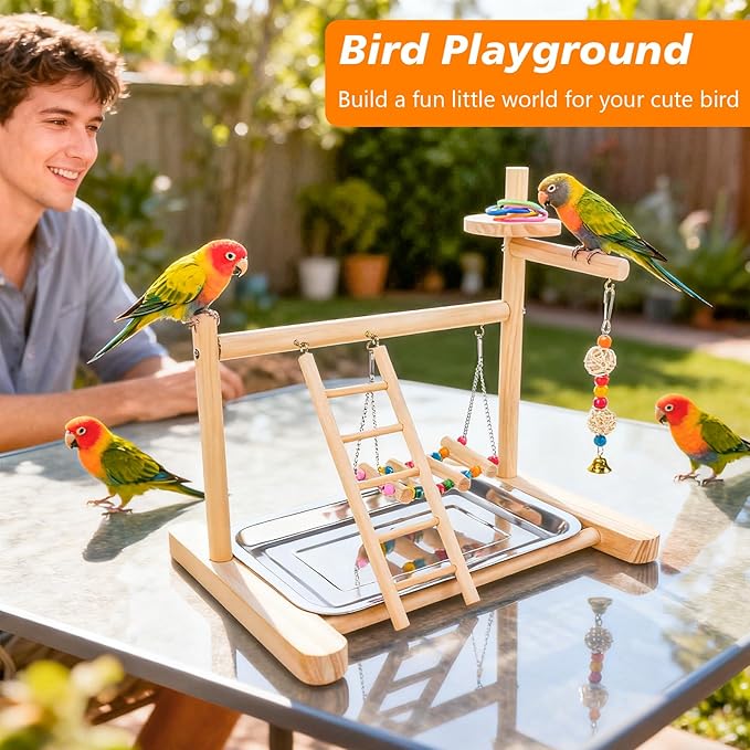 Bird Playground, Parrot Playstand Cockatiel Playground, Bird Play Stand with Feeder Cups, Swings, Ladder and Removable Tray, Parrot Perch Stand for Parakeet Conure Lovebird Budgie (2 Layers)