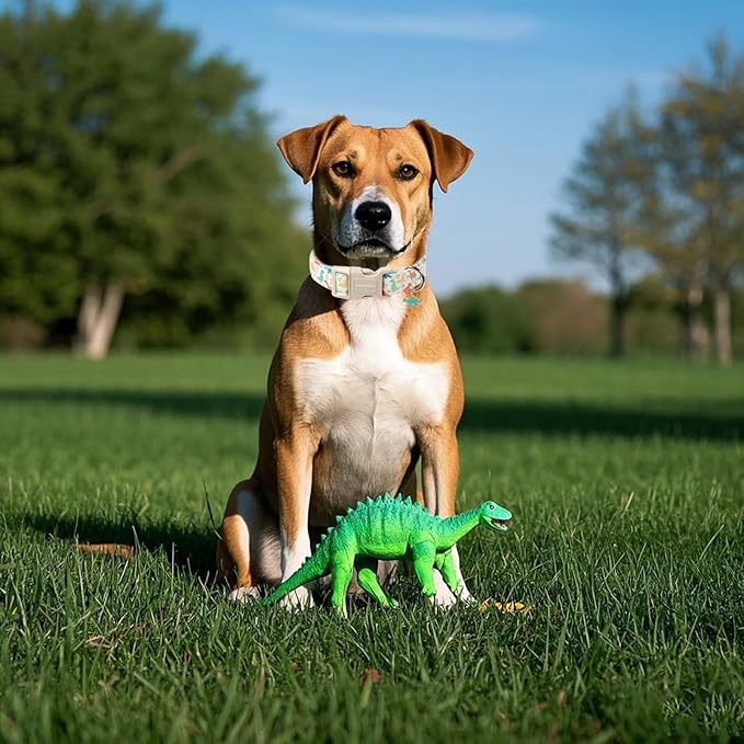 DOGWONG Whale Cotton Dog Collar, Summer Cute Shark Dog Collar Durable Soft Fabric Male Pet Dog Collars Boy Puppy Necklace for Small Medium Large Dogs