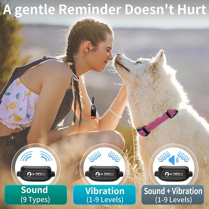 PaiPaitek Vibrating Dog Collar No Shock, Dog Vibration Collar with Controller 3300ft Range, No Shock Training Collar for Small Dogs, IPX7 Waterproof, Safe Lock - No Prongs