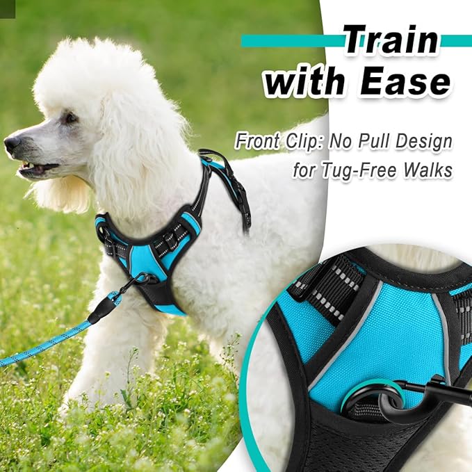 BARKBAY Dog Harness No Pull for Small Dogs - Adjustable, Reflective, Comfortable, No Choke, Heavy-Duty - Perfect for Outdoor Training, Walking, and Hiking - Strong & Durable - XS & Blue
