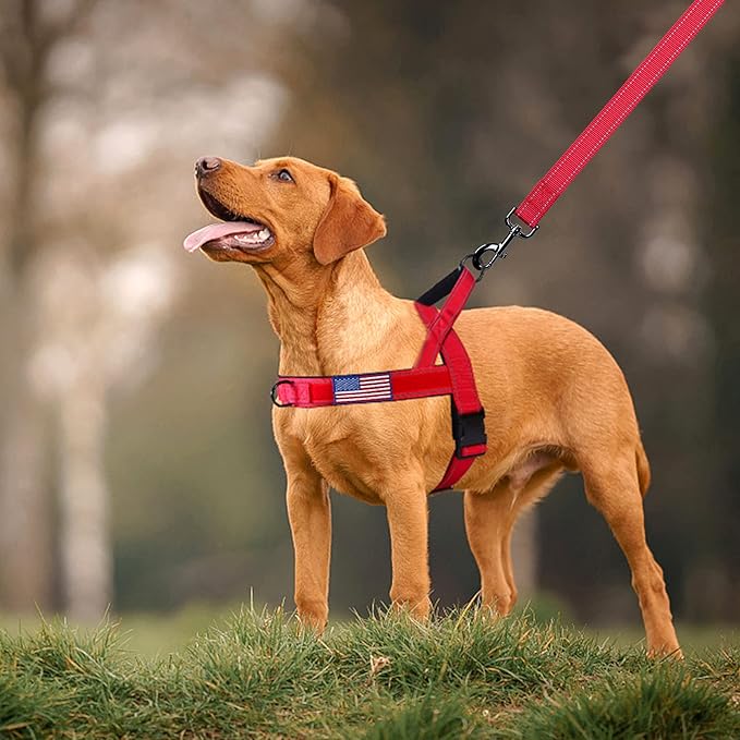 Annchwool No Pull Dog Harness with Padded Handle+5 Ft Leash,Reflective Strip Escape Proof and Quick Fit to Adjust Dog Harness,Easy for Training Walking for Small & Medium and Large Dogs(Red-Set,XL)