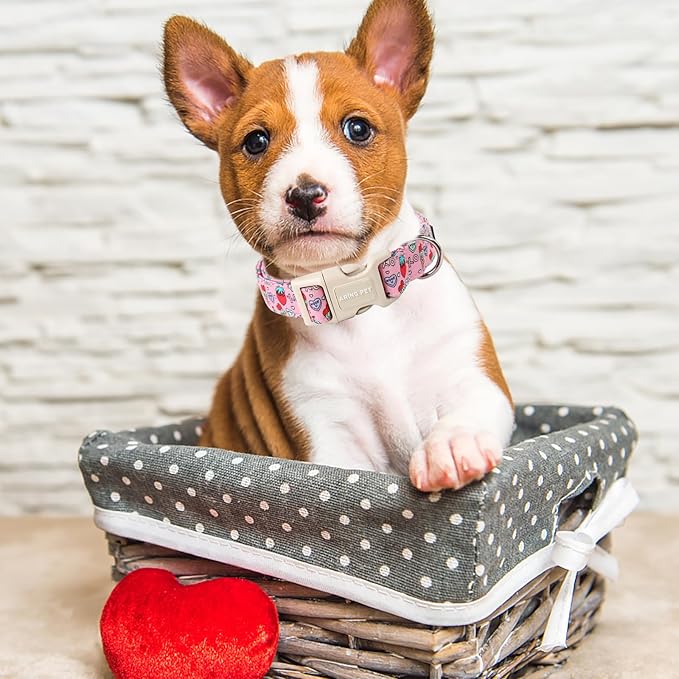 ARING PET Valentine's Day Dog Collar-Cotton Pink Girl Dog Collars, Adjustable Valentine Pet Collars Puppy Collar with Quick Release Buckle for Girl&Boy Dogs