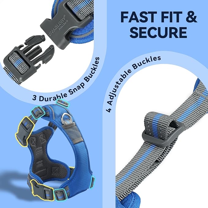 VIVAGLORY Dog Harness Easewalk No Pull Dog Harness with Handle & Front Back Clip for Training Lifting, Easy On Adjustable Padded No Pull for Pet & Puppy, XS, Royal Blue
