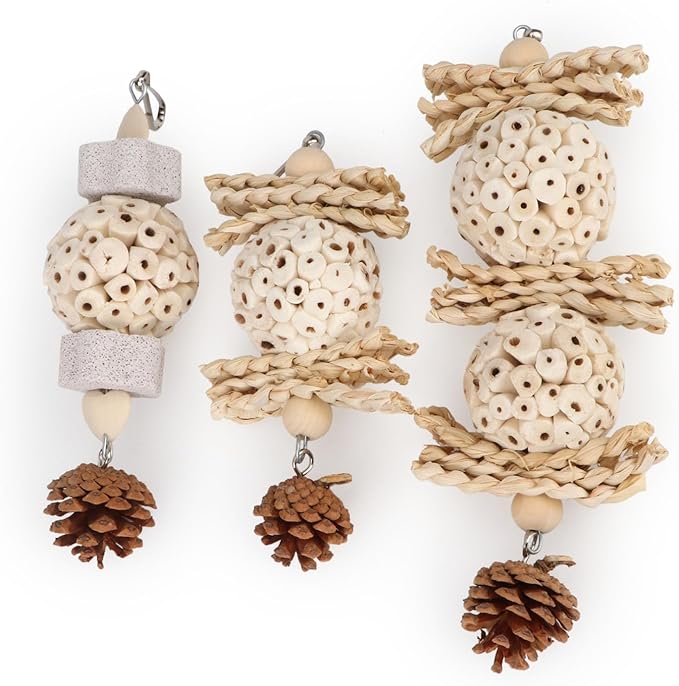 Wontee Bird Toys 3 Pack Parrot Foraging Hanging Toys Sola Ball Natural Nuts Chew Toys for Cockatiels Conures Parakeets Budgies Senegal (3 Pack)