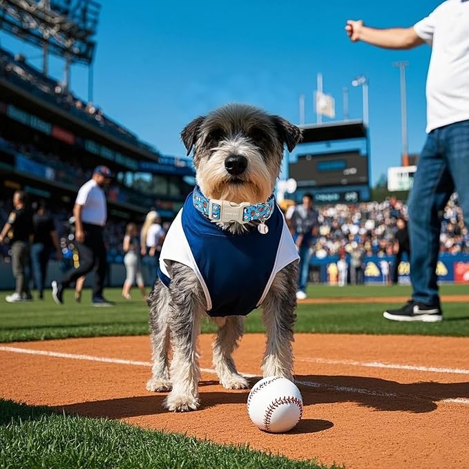 ARING PET Baseball Dog Collar, Cute Summer Blue Pet Collars with Quick Release Buckle for Puppy Small Medium Large Boy Girl Dogs-L