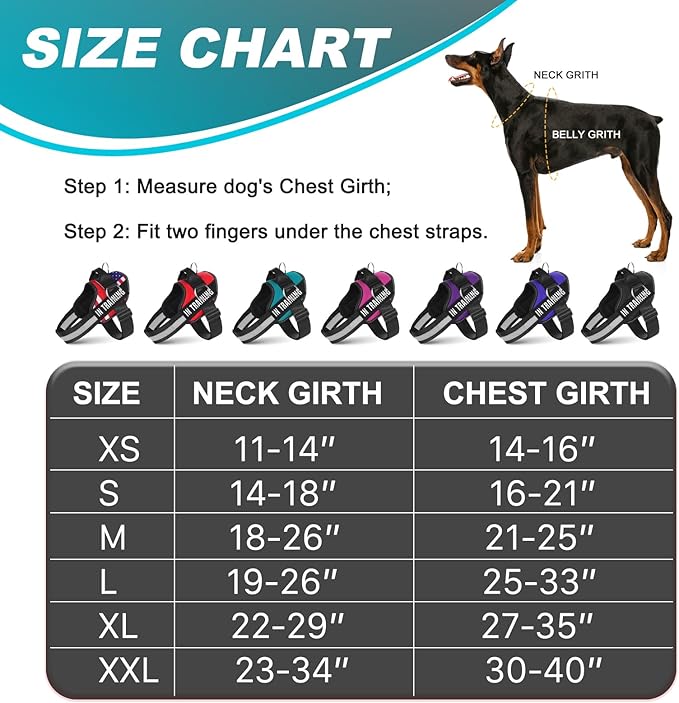 Essential Dog Harness with 3 Leash Clips - No-Pull, Adjustable, Comfortable Pet Vest Harness for Small to Large Dogs - Easy On, No Choke, Reflective, Padded Harness for Walking and Training